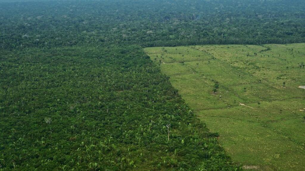 Sistema Deter detecta falhas na cobertura florestal na Amazônia, mas é menos eficaz em épocas de chuvas como em janeiro e fevereiro.