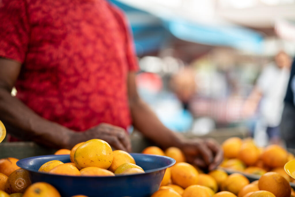 Trois tonnes d'oranges sont transportées par jour dans les zones de production.