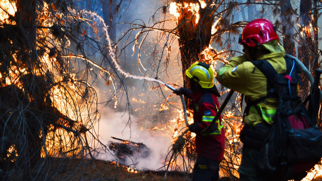 Argentine: la Patagonie ravagée par des incendies, Javier Milei et ses coupes budgétaires mis en cause