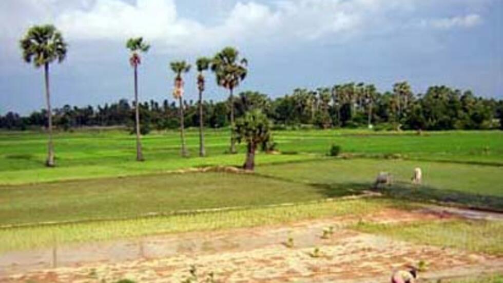 សម្បទានដី សង្គមកិច្ច នាទី យល់ដឹង អំពី ច្បាប់ និង ជំនួញ