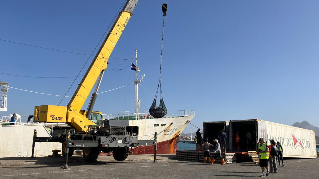 L'Afrique de l'Ouest s'organise pour lutter contre la pêche INN