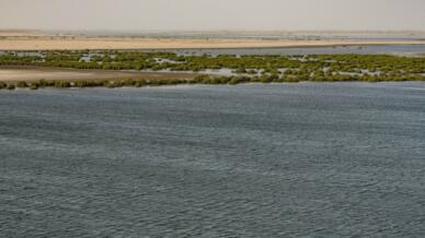 Le fleuve Saloum vue depuis le pont de Foundiougne (image d'illustration).