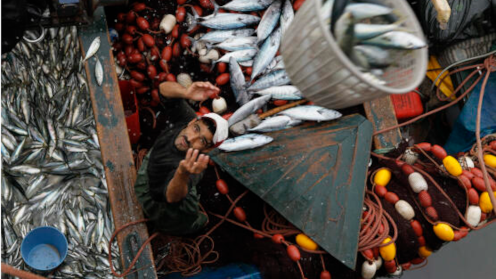 Un pêcheur marocain au port d’Agadir, en 2011. YOUSSEF BOUDLAL / REUTERS