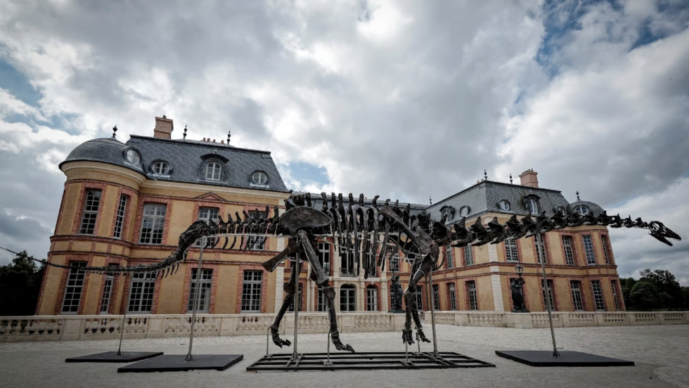 Vulcain, el esqueleto gigante de dinosaurio se vendió por 6 millones de  euros en Francia