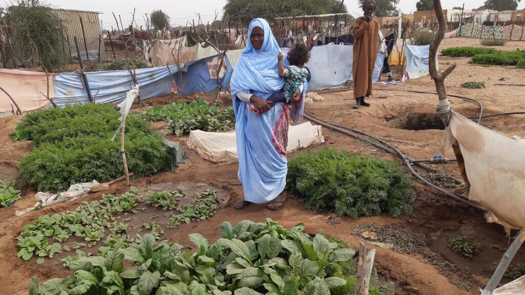 Le jardin maraîcher des femmes de Kraa Lahmaar en Mauritanie.