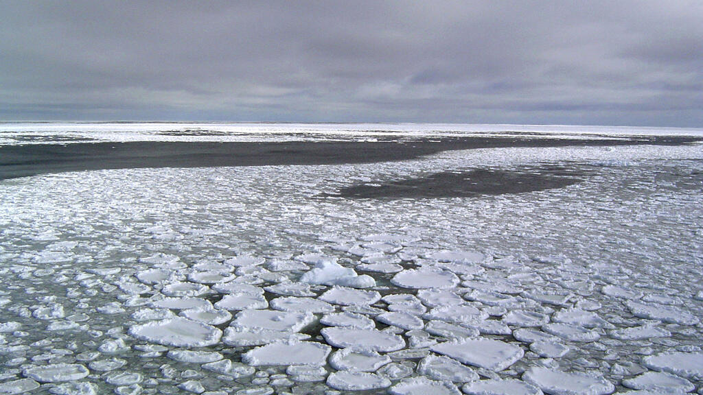 La banquise de l'Antarctique a atteint sa surface maximale pour l'année 2023, et celle-ci n'a jamais été aussi petite depuis le début des relevés scientifiques (photo d'illustration).
