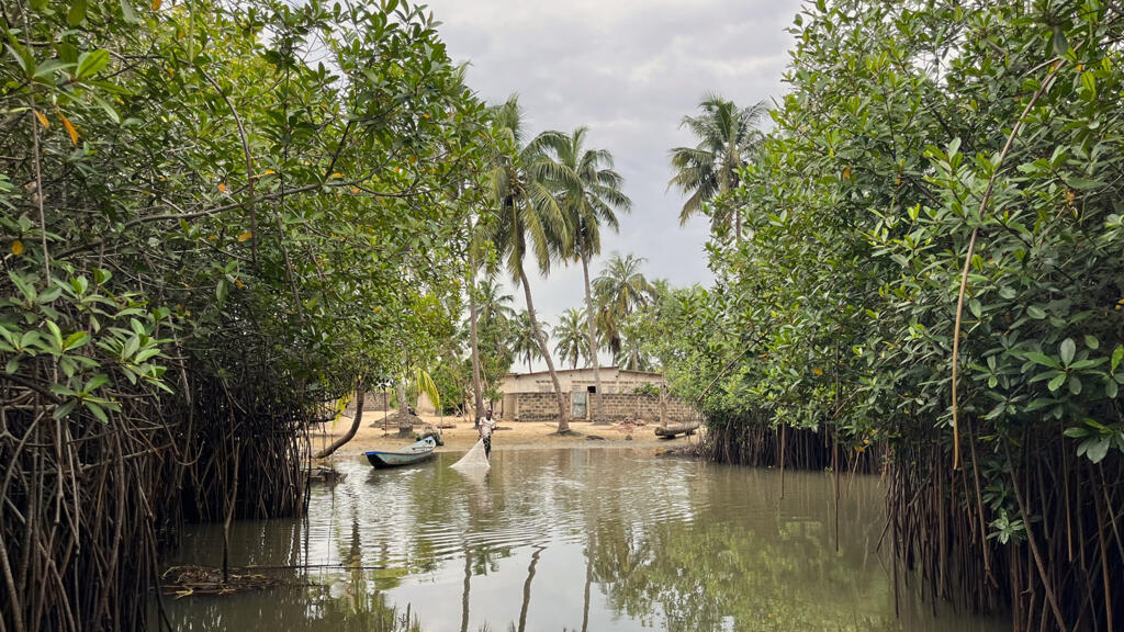 Parmi la mangrove, le village de pêcheurs de Hakouè.