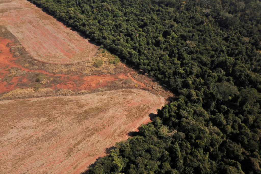 Foito mostra desmatamento em área entre Amazônia e Cerrado, em Nova Xavantina, no Mato Grosso. (28/07/2021)
