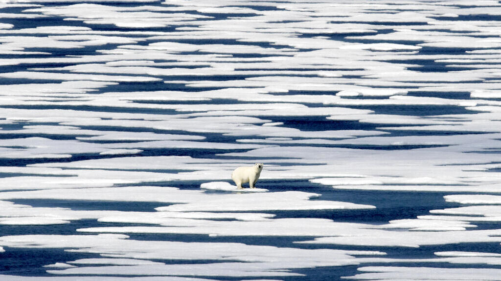 Um urso polar sobre geleiras no Estreito de Franklin, no Arquipélago Ártico canadense.