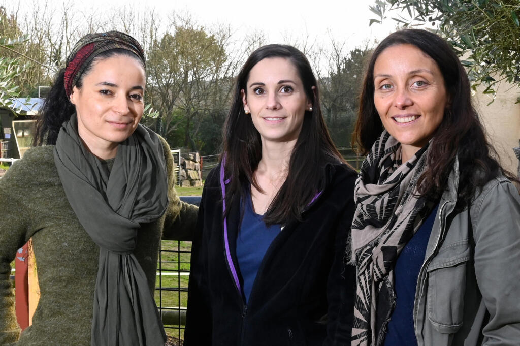 Lamya Essemlali, Lorane Mouzon e Perrine Crosmary, co-presidentes do grupo de ONGs "Rewild", posam para uma foto no Zoológico de Pont-Scorff, no oeste da França, em 27 de dezembro de 2019. -