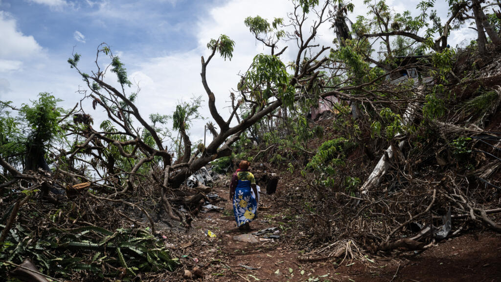Le cyclone Chido à Mayotte a eu de graves conséquences pour la biodiversité. Pourtant, le projet de loi d'urgence actuellement discuté au Parlement à Paris ne consacre pas à une ligne à la protection de l'environnement.