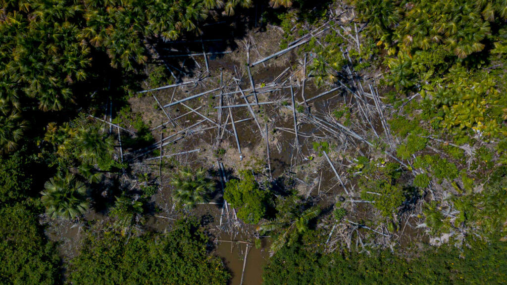 O desequilíbrio acelerado do ciclo do carbono na região amazônica é causado pela interação entre as mudanças climáticas e a alta das queimadas e o desmatamento.