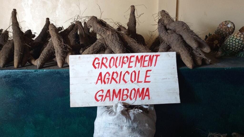 Congo-Brazzaville: malgré des avancées, les agriculteurs se sentent abandonnés