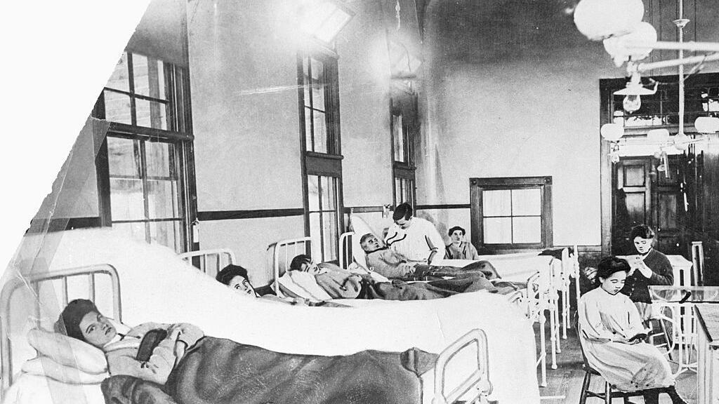 Mary Mallon, connue sous le nom de «Typhoid Mary» a été la première personne identifiée comme porteuse de bacilles typhoïdes aux États-Unis. Immunisée contre la maladie, elle a propagé la typhoïde en travaillant comme cuisinière.