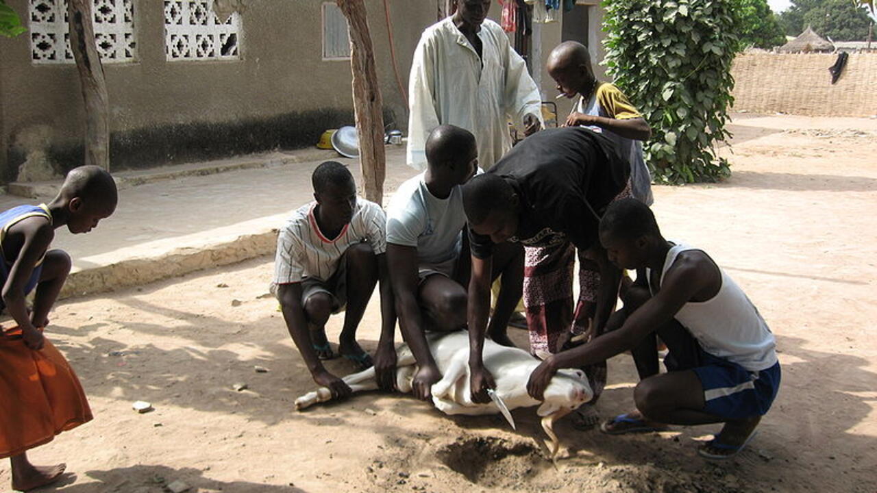 Au Niger, la fête de la Tabaski est aussi la fête du pardon Au Niger, la fête de la Tabaski est aussi la fête du pardon